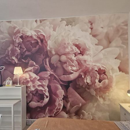 Appartamento Casa Le Coccole Livorno Esterno foto